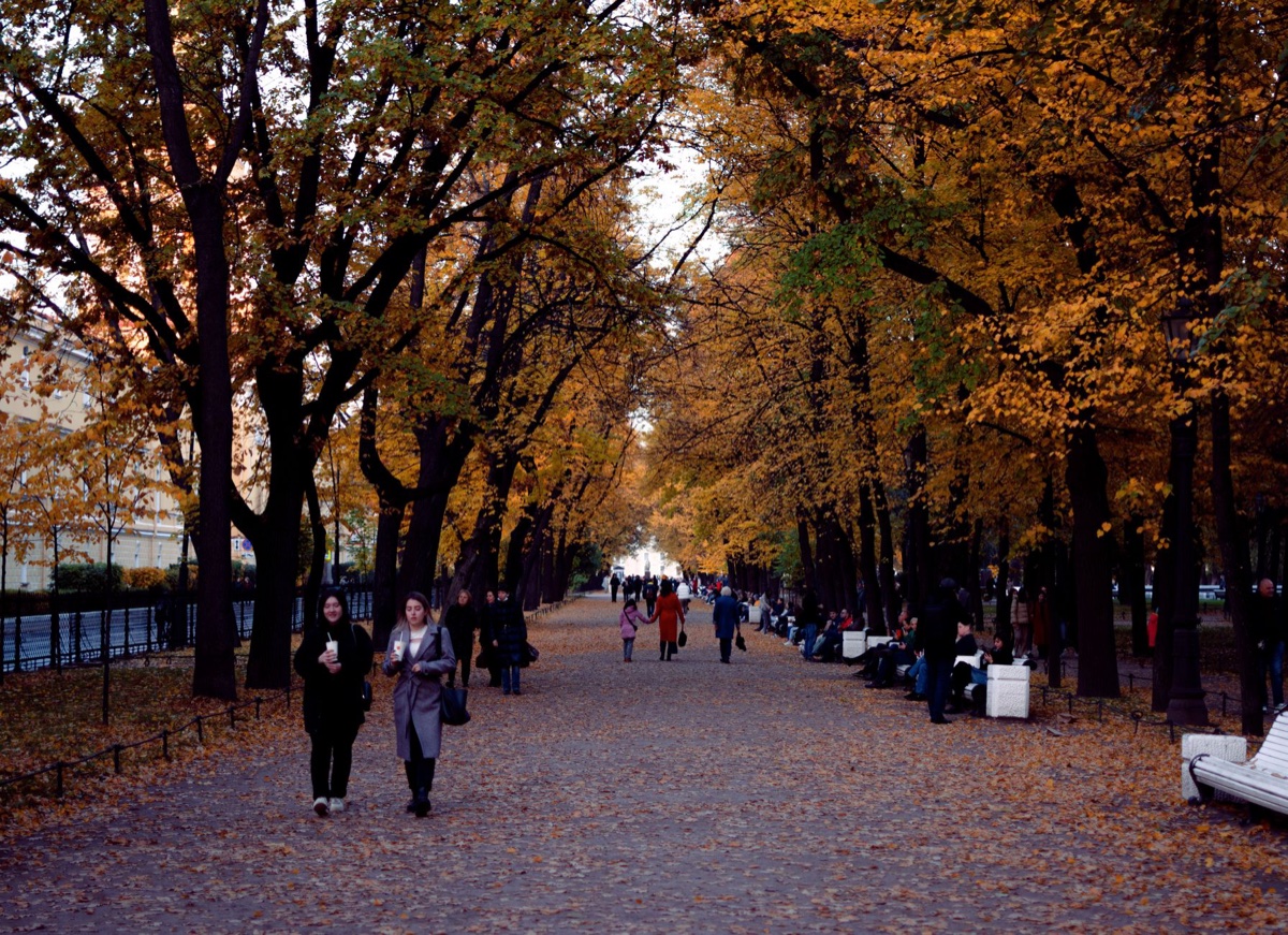 People walking and sitting on benches along a leaf-covered city park path under yellow autumn trees