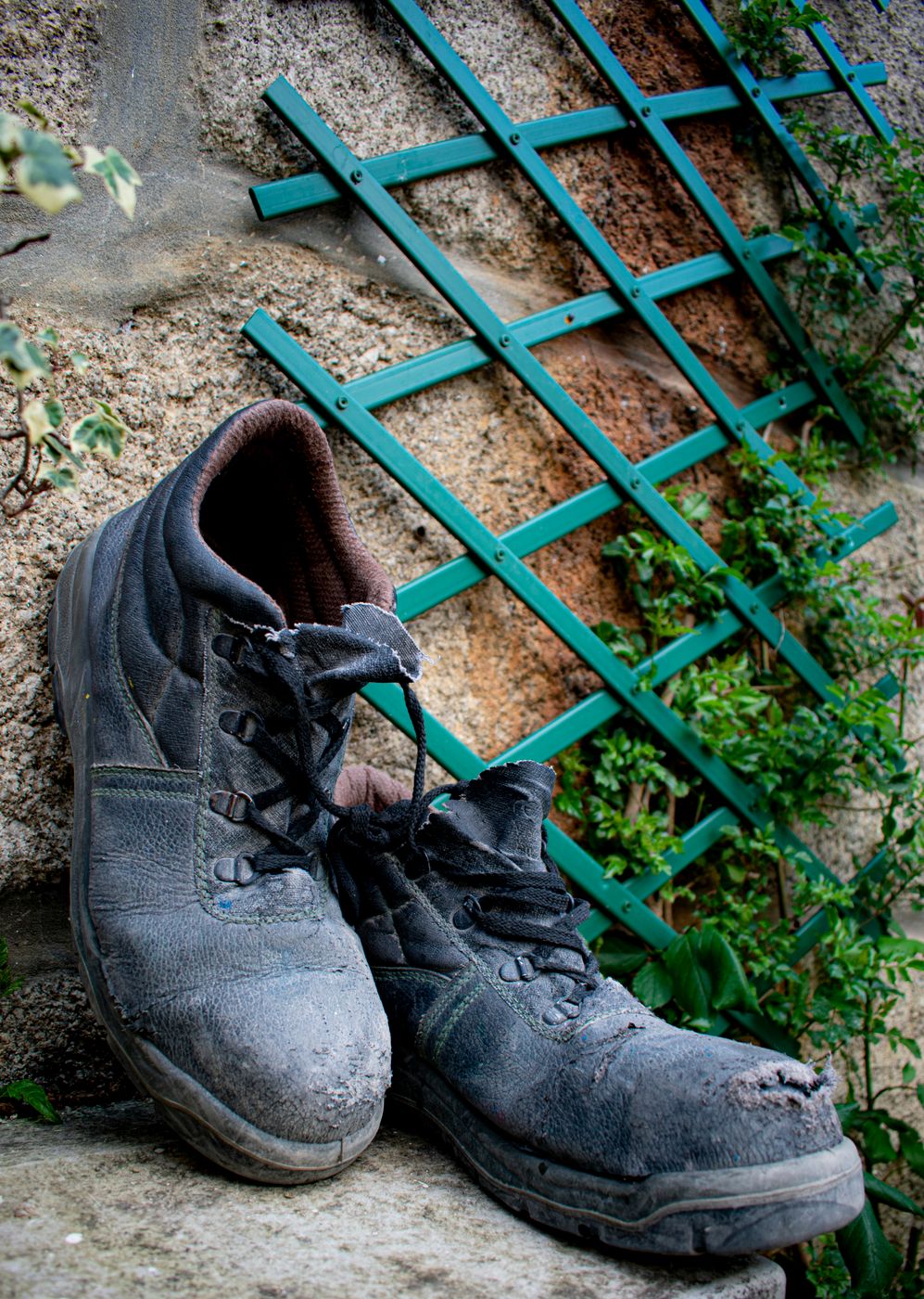 A pair of black leather work boots with split seams and worn-through toes leaning against a stone wall beside a green trellis