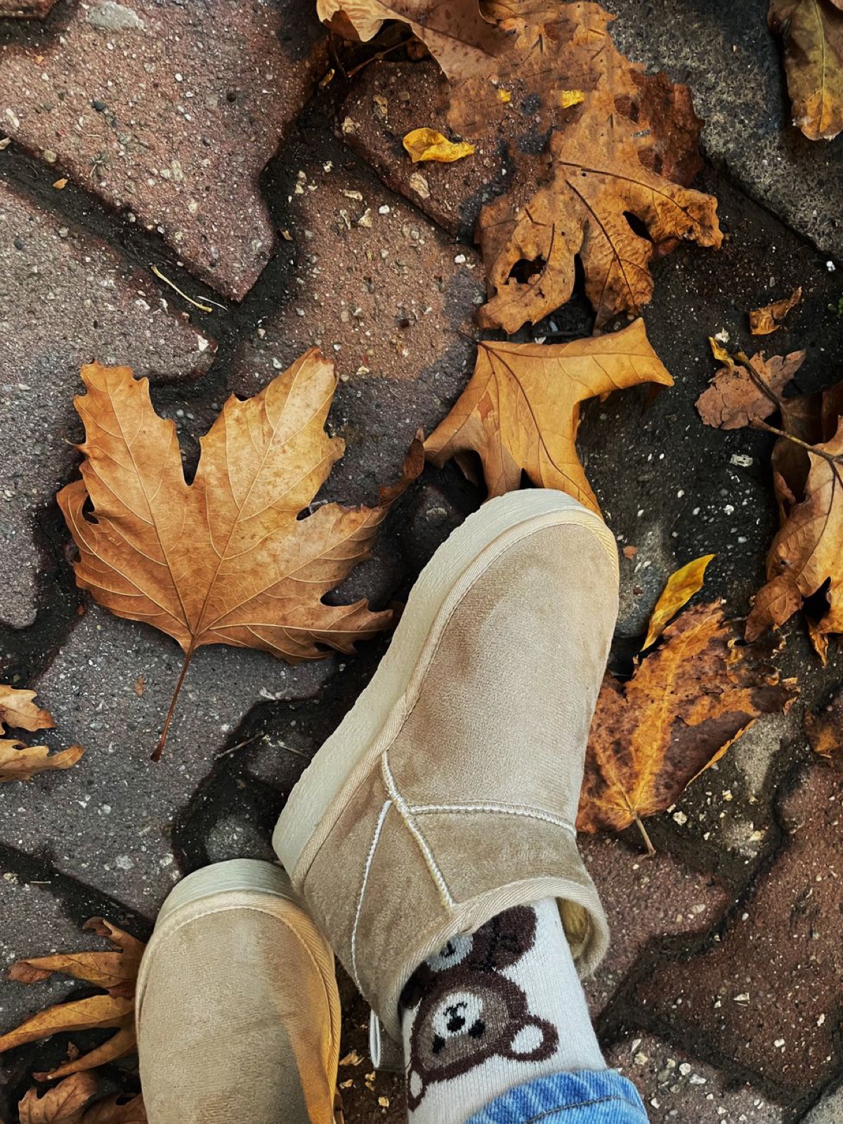 Top-down view of tan suede ultra-mini boots with teddy bear socks on a brick path scattered with brown autumn leaves