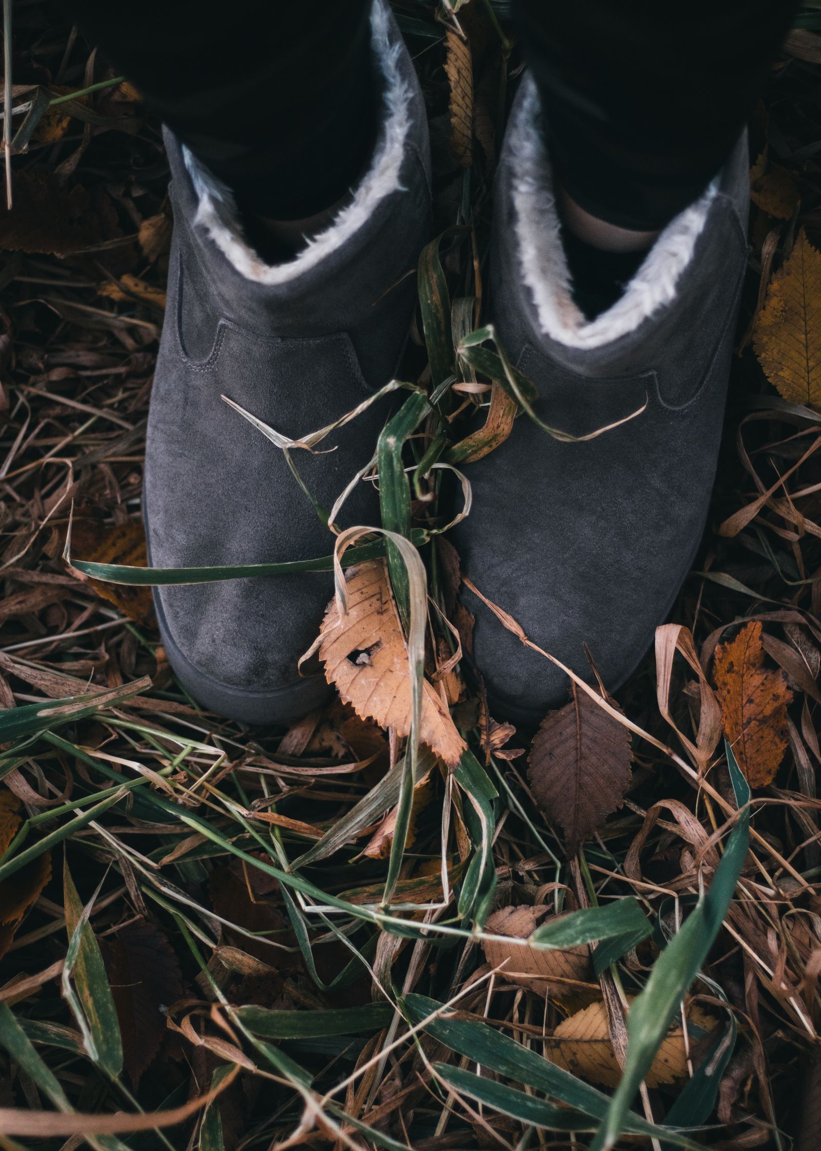 Top view of gray suede ankle booties with white pile lining worn in fallen autumn leaves and grass