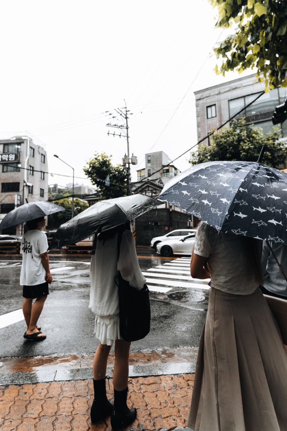 Three people waiting at a rainy city crosswalk under open umbrellas, seen from behind on a wet pavement